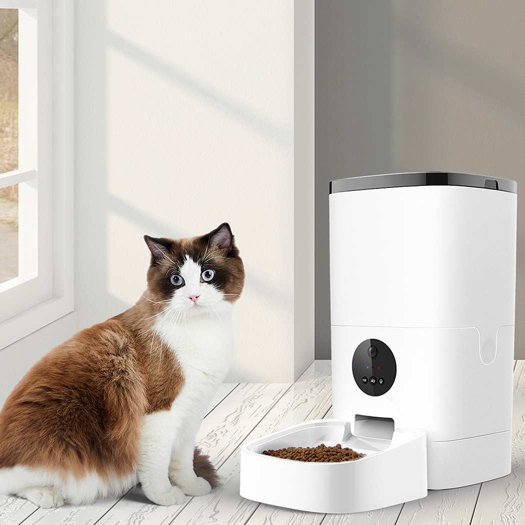 PaWz 6L Auto Feeder Pet Automatic Camera - Image 7