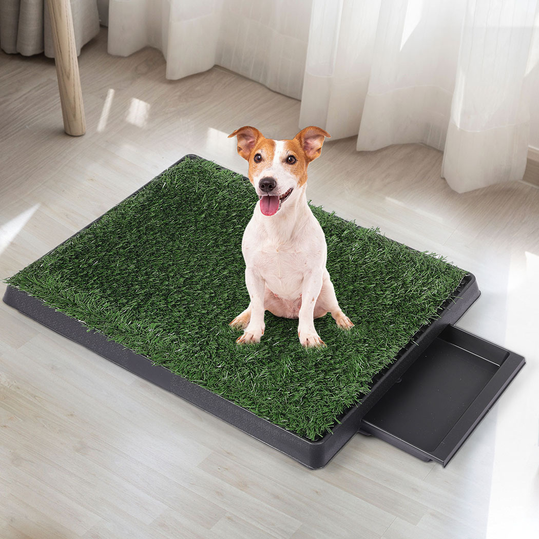 PaWz Indoor Dog Pet Grass Potty Training - Image 8