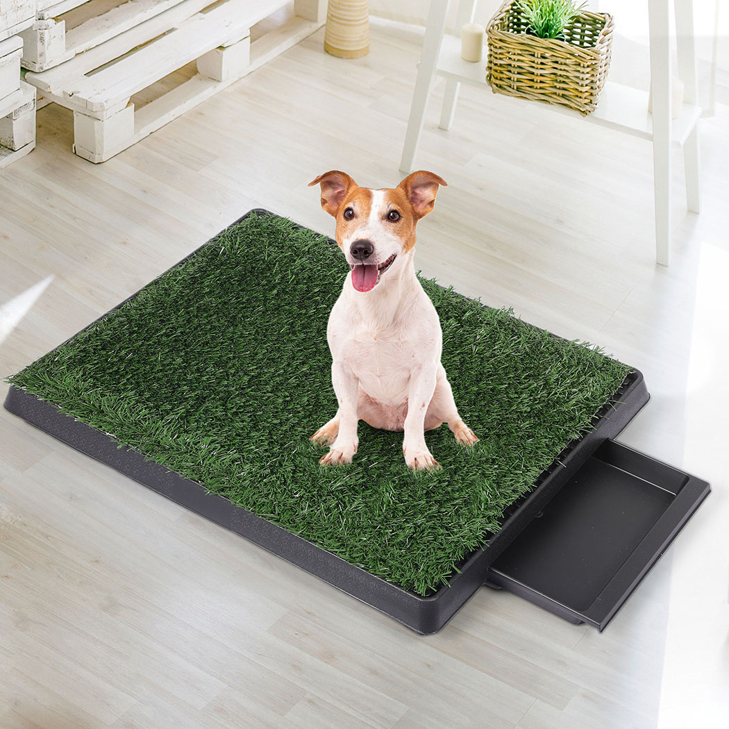 PaWz Indoor Dog Pet Grass Potty Training - Image 7